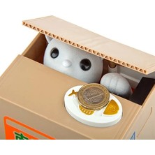 Pileli Store Para Çalan Hırsız Kedi Kumbara