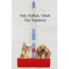 Pileli Store Kedi Köpek Sihirli Tüy Temizleme Fırçası 4 Ü 1 Arada Döner Başlıklı