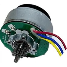 Ferrino Çay Toplama Makinesi Motor Kırmızı