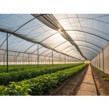 Çiftçi Plasmar %40 Gölgelik File Sera Örtüsü Bahçe Çit Örtüsü Meyve Ağacı Örtüsü Eni 8-10 Metre