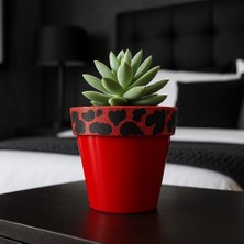 Pileli Store Nf Ferrari Kırmızı Saksı 1.7 Litre