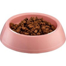 Pileli Store Mikopet Küçük Yuvarlak Mama Kabı