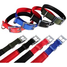 Nunbell Köpek Boyun Tasması Hrb-026