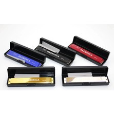 Eco Port Metal Mızıka Büyük ALK1360