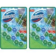 6 Adet Domestos Wc Blok 2'li Çam Ferahlığı 2X100 G