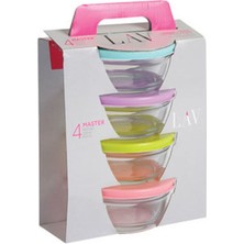 1 Adet Lav Master Saklama Kabı 4'lü 250 cc