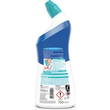 2 Adet Porçöz Hijyenik Tuvalet Temizleyici Okyanus Esintisi 750 ml