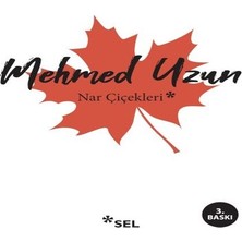 Esplendor Nar Çiçekleri: Çokkültürlülük Üstüne Denemeler