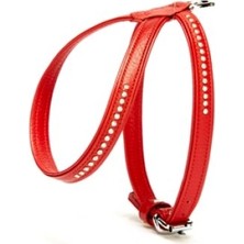 Esplendor Taşlı Deri Köpek Göğüs Tasması 1,2 x 21-30 cm Kırmızı