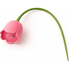 Akıllı Interaktif Hareketli Kedi Oyuncağı