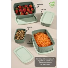 Meleni Home 20LI Çizgili Dikdörtgen Saklama Kabı Seti -Mikrodalgaya Uygun Gıda Kabı 1,25L 0,75L 0,5l 0,25L Yeşil