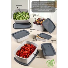 Meleni Home 6'lı Çizgili Dikdörtgen Saklama Kabı Seti - Mikrodalgaya Uygun 6 Boy Düzenleyici Gıda Kabı Gri