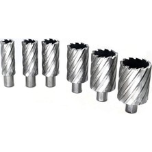 Sedef Power Tools 20 mm Weldon Sap Manyetik Matkap Ucu 55 mm Derinlik  Sedef 1 Adet