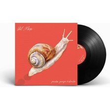 Ada Müzik Idil Meşe - Günden Geriye Kalanlar (Plak)