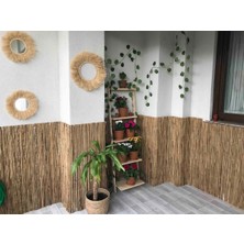 My Family 150X250 cm Hasır Çit Kamış Hasır Misina Dokuma Bahçe Balkon Dekoratif Çit