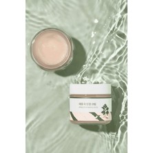 Round Lab - Mugwort Calming Cream (Yatıştırıcı Krem)(Globalcare)