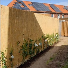 Kamış Hasır,bahçe Çiti,balkon Çiti,gölgelik 1 Metre x 4.50 Metre