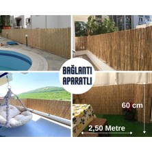 My Family 60X250 cm Bambu Görünümlü Hasır Çit Balkon Bahçe Kamış Çit + Kelepçe Hediyeli