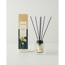 English Home Musk&Poppy Çubuklu Oda Kokusu 100 ml
