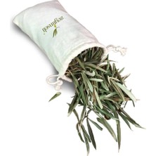 Zeytinseli Zeytin Yaprağı | Antioksidan Zeytin Yaprağı Çayı 80 G