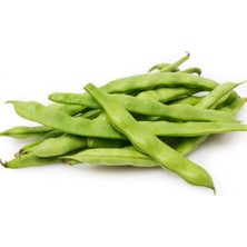MiraLive Fasulye Tohumu 50 gr