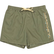 Quiksilver Behind Waves Erkek Yeşil Volley Short