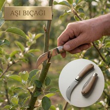 Glaswen Aşı Bıçağı Eğri Uçlu Ara Çakı Bağ Bıçağı Paslanmaz Çelik Ahşap Saplı Katlanır Bıçak 21 cm