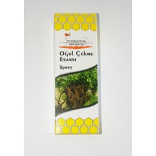 İstanbul Petek Oğul Arı Yakalama Çekme Esansı Fısfıslı Sprey Oğul Arı Yakalama