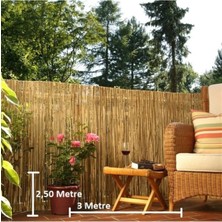 Bambu Kamış Hasır 2,50 Metre x 3 Metre