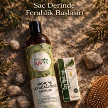Çare Burada Çareburada Ardıç ve Çay Ağacı Özlü Şampuan 400 ml + Çay Ağacı Yağı 20 ml