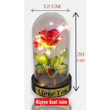 Generic Kişiye Özel Isimli Işıklı Gül Yapraklı Fanus - Romantik Masa Lambası