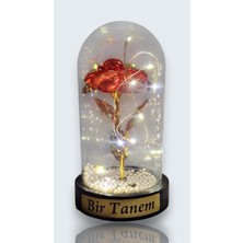 Generic Inci Tabanlı Kişiye Özel Isim Yazılı Işıklı Kırmızı Gül Cam Fanus - Bir Tanem Gece Lambası