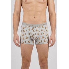 Belinoplus Desenli Erkek Boxer- Tiger Power