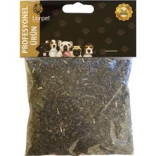 Catnip Kedi Otu 20 gr Kedi Nanesi