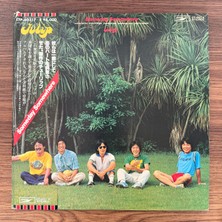 Only Japan Vinyl Tulip – Someday Somewhere