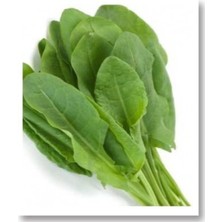 Belirtilmemiş Mitofarm Gürsel Kuzukulağı Tohumu 5 gr