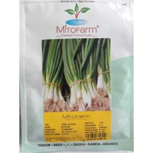 Belirtilmemiş Mitofarm Yeşil Soğan Tohumu 10GR