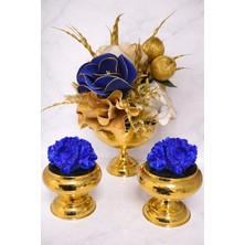 Maviessa Gold Eva Aranjman Mavi Set