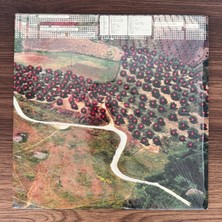 Only Japan Vinyl Lily Of The Valley