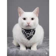 Flypet Kurukafa Desenli Fular Kedi Tasma & Yavru Köpek Tasma 13CM-24CM Ayarlanabilir Tasma