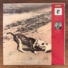 Only Japan Vinyl Phoebe Snow – Never Letting Go