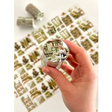 Kağıt Gemi Vintage Green Interior Room Yeşil Ev Tasarımı 2m Washi Bant/masking Tape/desenli Bant/bullet Journal