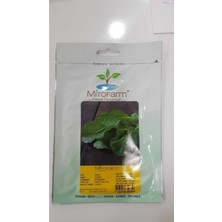 Belirtilmemiş Mitofarm Roka Tohumu