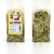 MiraLive Poşet Alıç Yaprağı 40 Gr.
