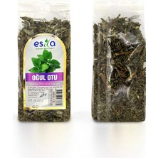 MiraLive Poşet Oğul Otu 40 Gr.