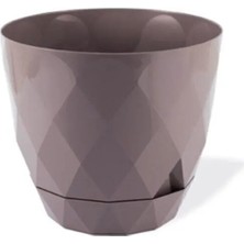 MiraLive 2 No Yakamoz Saksı 1 Adet ROYALEKS-KRS-452