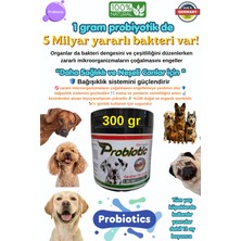 RB Pharma Organik Probiyotik Köpeklerimiz Hastalanmaya Son 300 gr Büyük Boy