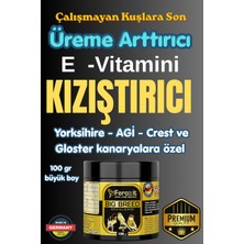 Feroxit Büyük Irk Kanarya KIZIŞTIRICI , E Vitamini,  ve  Yumurta Arttırıcı Mix ( Feroxit Big Breed Special Seri )