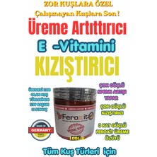 Feroxit  Special Series 3 Kat Güçlü Kızıştırıcı - E- Vitamini Üreme ve Yumurta Arttırıcı 100 gr 