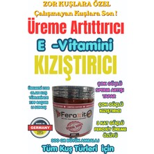 Feroxit Special Series Üreme ve Kızıştırıcı 3 Kat Güçlü Feroxit Özütü  ( Tüm Kuş Türleri) 300  gr Büyük Ambalaj